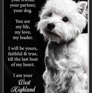 Meet your Posher, Jean